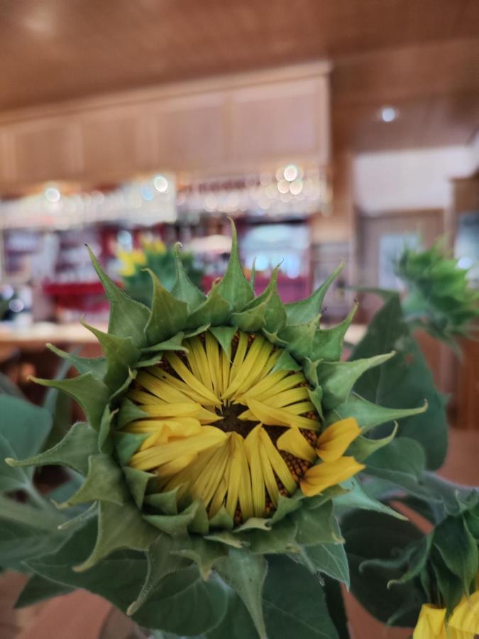 Hotel Lowen 特恩吉恩 外观 照片